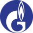 logo icon